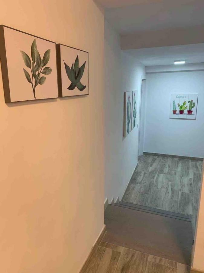 Casa Hana Apartment โมกัน ภายนอก รูปภาพ